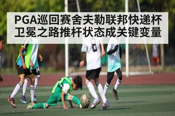 PGA巡回赛舍夫勒联邦快递杯卫冕之路推杆状态成关键变量